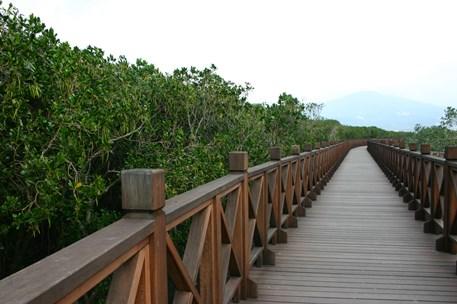 大勢の行楽客で賑わう淡水。その対岸に位置するのが八里です。ここには淡水河に沿って関渡大橋から河口までの約15キロ、サイクリング道路が整備されています。八里までは淡水から渡し船に乗って10分足らず。船着き場の周辺にはレンタサイクルのショップがあります。いわゆるママチャリからマウンテンバイク、中には四人乗り自転車まであります。船着き場はサイクリング道路の中間地点にあり、左と右の両方向へ進むことができます。台北方向へ進むと関渡大橋へ出ます。こちらの道路はヤシの樹などが植えられ、南国らしい雰囲気に触れられます。反対側の河口方向に向かうと、鬱そうとしたマングローブ保護エリアへと出ます。その先には台湾の先史時代の遺蹟を展示した「十三行博物館」があるので、立ち寄ってみましょう。さらに、夜の帳が下りると、対岸の淡水の町並みに灯りが点り、きらきらと美しく輝きはじめます。夜景もまた見のがせない情景となっています。