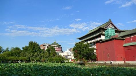 台北メトロ小南門駅近くに位置する台北植物園。約8.2ヘクタールという広大な敷地に2000種という植物が栽培されています。市民の憩いの場であるだけでなく、台湾の植物研究における重要なスポットにもなっています。その歴史は戦前に遡り、当時は熱帯性植物の栽培と研究が行なわれていました。現在、園内は22のエリアに分かれています。水生植物園区やシダ植物園区などがあり、中でも、国立歴史博物館に隣接する蓮の池はここの目玉になっています。早朝には写生や撮影をする人たちが大勢訪れます。また、園内には台北市の古蹟に指定されている歴史建築物もあります。一つは1924年に創建された「植物標本館(現：臘葉館)」。もう一つは清国末期に建てられた「欽差行台」です。これは清国時代の最高行政機関でした。かつては現在の中山堂の場所にありましたが、1933年に植物園内に移設され、保存されるようになりました。歴史と自然に触れられる貴重なスポットです。