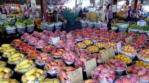 今や台湾フルーツを代表する存在にもなっているマンゴー。その一大産地となっているのが台南郊外の山麓部です。中でも台南市玉井区は「マンゴーの聖地」とも言われる存在で、町中がマンゴーの芳香に包まれています。この町を訪れたら、まずは中心部にある青果市場を訪ねてみてください。山積みになったフルーツに圧倒されますが、やはりマンゴーが目立つ存在になっています。定番とされる「アップルマンゴー（愛文芒果）」を筆頭に、土着種の「土檨仔」やリュウガンの香りがするという「黒香」、ラグビーボール大の「玉文」など、十種類以上のマンゴーが見られます。籠に山積みになったマンゴーが並んでいる光景は圧巻なので、記念撮影を楽しむ行楽客も少なくありません。市場を囲むようにマンゴーかき氷の店が出ているので、ここでたっぷりマンゴーを味わいましょう。また、マンゴーを用いた創作料理を供すレストランもあります。
