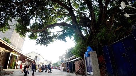 2016年に台南市の中心部でできた「藍晒圖文創園區」は今、注目のアートスポット。もともとは司法関係機関の職員宿舎だった場所ですが、老家屋を再整備し、若者たちが集う公共空間となりました。スポット名になっている「藍晒圖」とは中国語では「ブループリント」を意味しています。入口の木造家屋は壁が青く塗られ、柱や天井、家具などが白い線で描かれています。これは台湾人アーティストの劉国滄氏が手がけた作品で、このほかにも、敷地内にはポップな壁絵やオブジェがあり、現代アートを愛する人々で賑わっています。また、かつての宿舎はショップやカフェ、ギャラリーなどとして整備されており、ここでは台南在住のデザイナーが手がけるグッズが数多く並んでいます。お土産探しにもぴったりのスポットです。