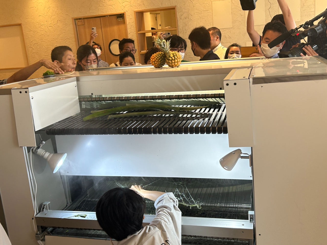 2020年7月には台湾産業紡織品協会、台農發股份有限公司、沖繩縣東村、大宜味村、國頭村、Kugani KitchenとMOUを締結し、パイナップルやその葉を原料とする繊維製品の開発、製造及び販促を推進しています。